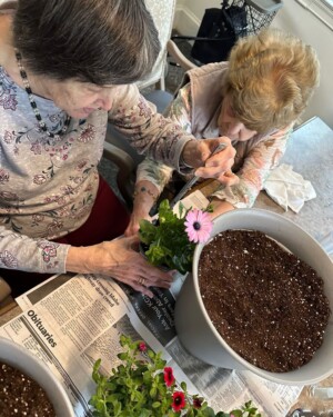 A little gardening The Inn at Edgewood Portsmouth NH