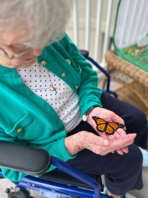 Catching butterflies The Inn at Edgewood Portsmouth NH